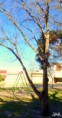 /album/esencia-natural-plaza-fleming-por-juan-andres-rodriguez/p1060784-jpg/