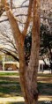 /album/esencia-natural-plaza-fleming-por-juan-andres-rodriguez/p1060788-jpg/