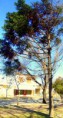 /album/esencia-natural-plaza-fleming-por-juan-andres-rodriguez/p1060789-jpg/