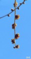 /album/esencia-natural-plaza-fleming-por-juan-andres-rodriguez/p1060802-jpg/