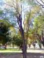 /album/esencia-natural-plaza-fleming-por-juan-andres-rodriguez/p1060826-jpg/