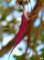 /album/esencia-natural-plaza-fleming-por-juan-andres-rodriguez/p1060830-jpg/