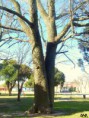 /album/esencia-natural-plaza-fleming-por-juan-andres-rodriguez/p1060855-jpg/