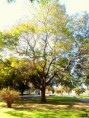 /album/esencia-natural-plaza-fleming-por-juan-andres-rodriguez/p1060862-jpg/