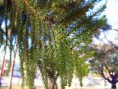 /album/esencia-natural-plaza-fleming-por-juan-andres-rodriguez/p1070285-jpg/