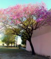 /album/esencia-natural-plaza-fleming-por-juan-andres-rodriguez/p1070299-jpg/